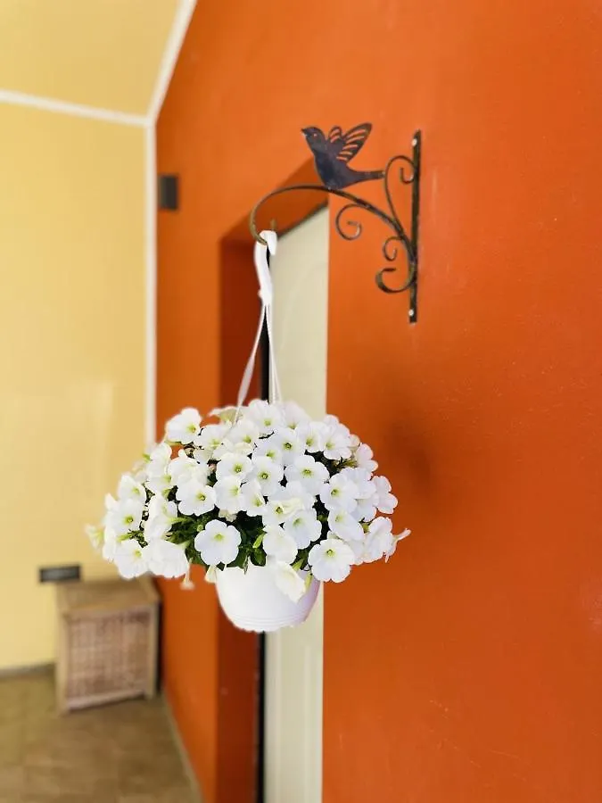 Il Giardino Di Iole Via Giovanni Amendola N36 Bed & Breakfast Sassari