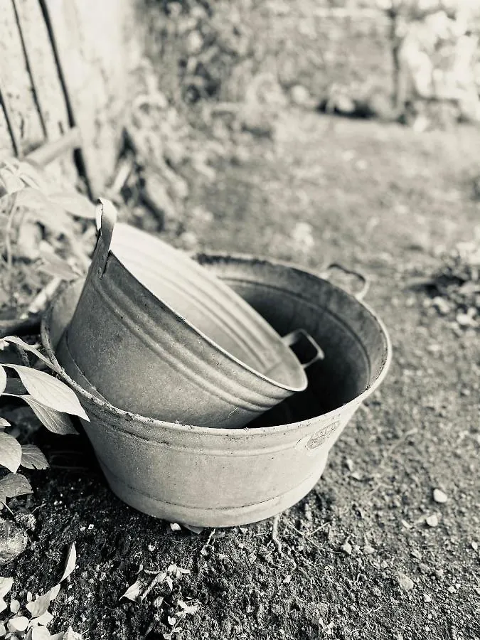 Il Giardino Di Iole Via Giovanni Amendola N36 Bed & Breakfast Sassari